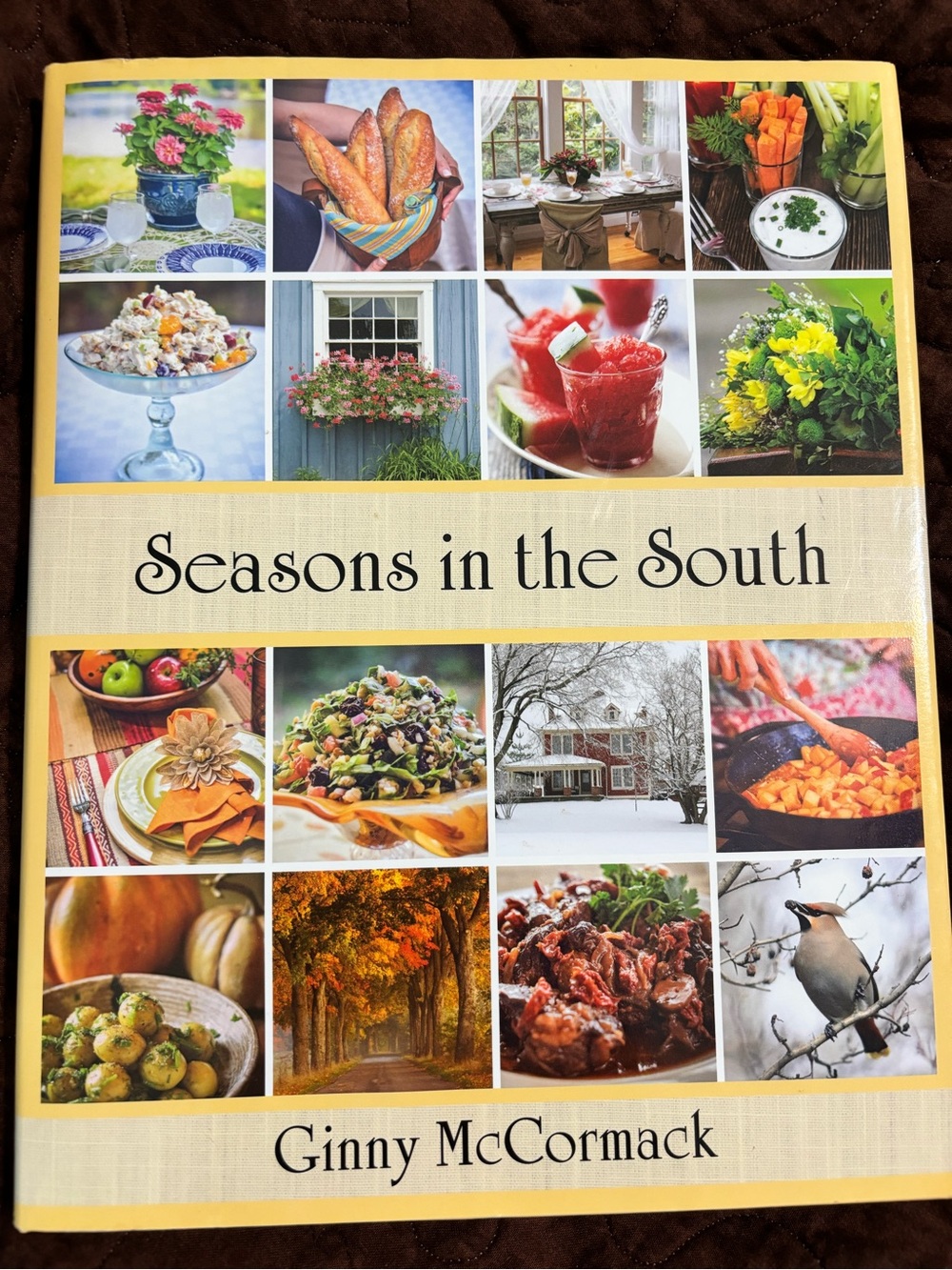 Seasons in the South by - Decorative Cookbook Cover in Yellow and Cream